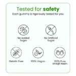 Pure Shilajit Gummies - Image 10